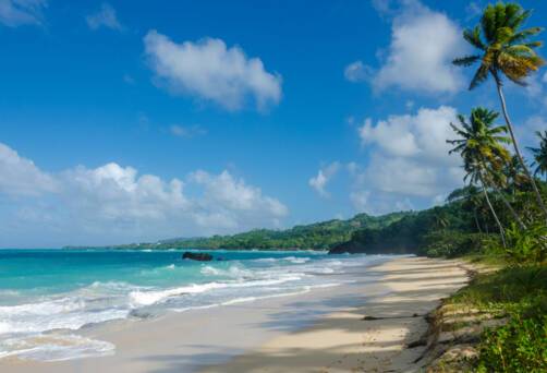 Samana