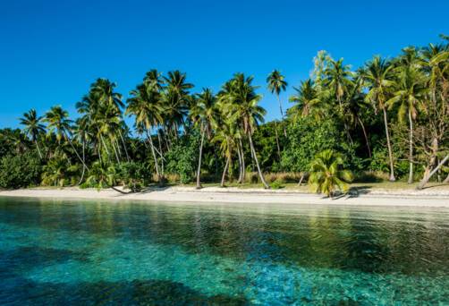 Nabukeru, Yasawa