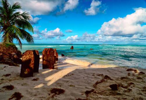 Pagan, Northern Mariana Islands
