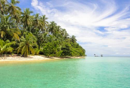 Bocas del Toro