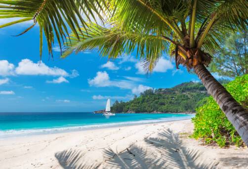 Cruises to Jamaica