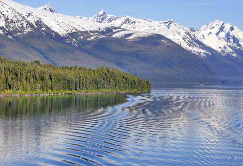 Endicott Arm