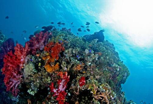 Ambon, Indonesia
