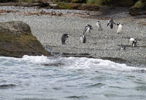 Tucker Islets