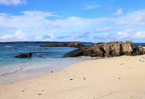 Darwin bay