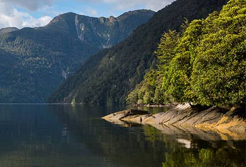 Dusky Sound Cruises