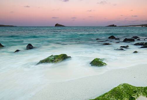 Galapagos Islands
