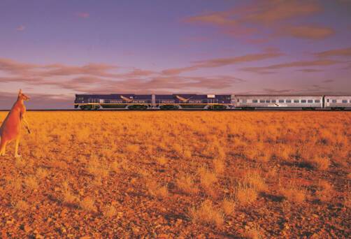 Nullarbor Desert
