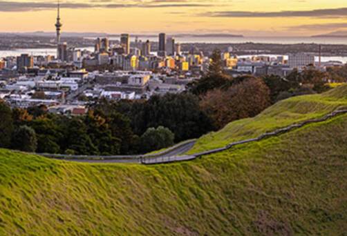 Auckland Cruises