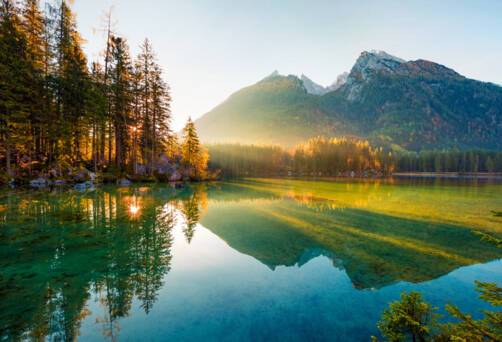 Bavarian Forest