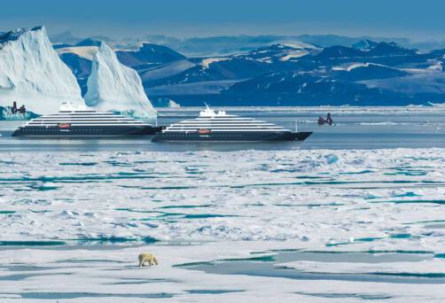 Arctic