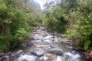 Darién National Park, Panama