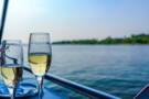 Cruise the Moselle Valley