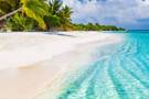 Cruises to the Bahamas