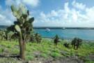 Santa Fe Island