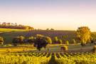 Garonne River Cruises