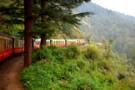 Toy Train