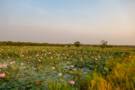 Kampong Tralach, Cambodia
