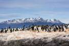 Cruising Beagle Channel