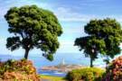 Cruises to La Coruna