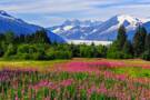A panoramic view of Juneau