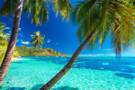 Cruises to the French Polynesia