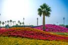 Yanbu Al Bahr, Saudi Arabia