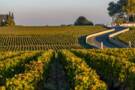 Pauillac, France