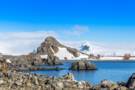 Half Moon Island, Antarctica
