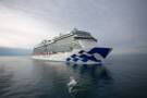 Discovery Princess at Sea