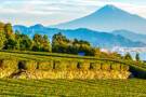 Sunrise over Mount Fuji