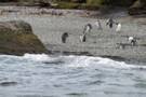 Tucker Islets