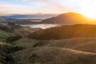 Dunedin Cruises
