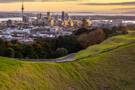 Auckland Cruises