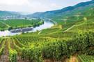Scenic Ruby, Scenic River Cruises