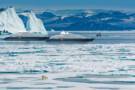 Arctic