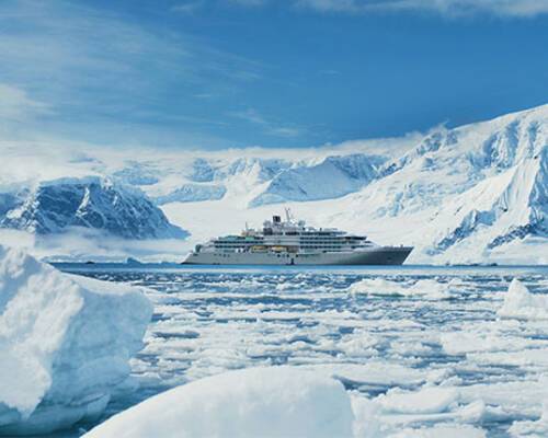 Silver Endeavour