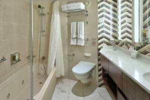 Signature Suite Bathroom, Zuiderdam