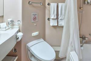 Verandah Stateroom Bathroom, Oosterdam