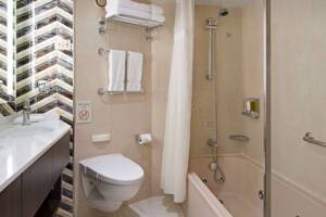 Neptune Suite Bathroom, Oosterdam