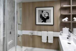 Prime Ocean View Stateroom bathroom, Celebrity Edge
