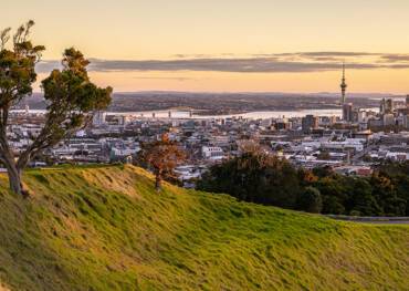 Auckland Cruises