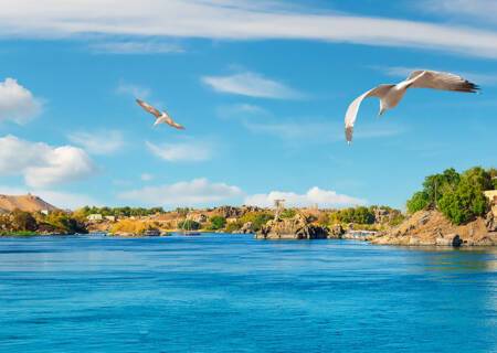 Nile River Cruises