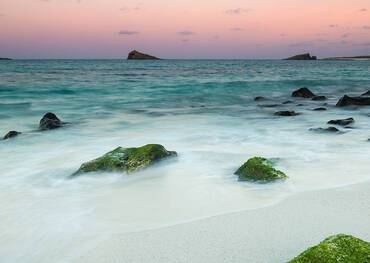 Galapagos Islands