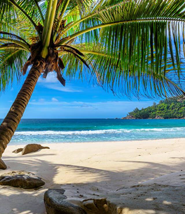 Cruises to Barbados