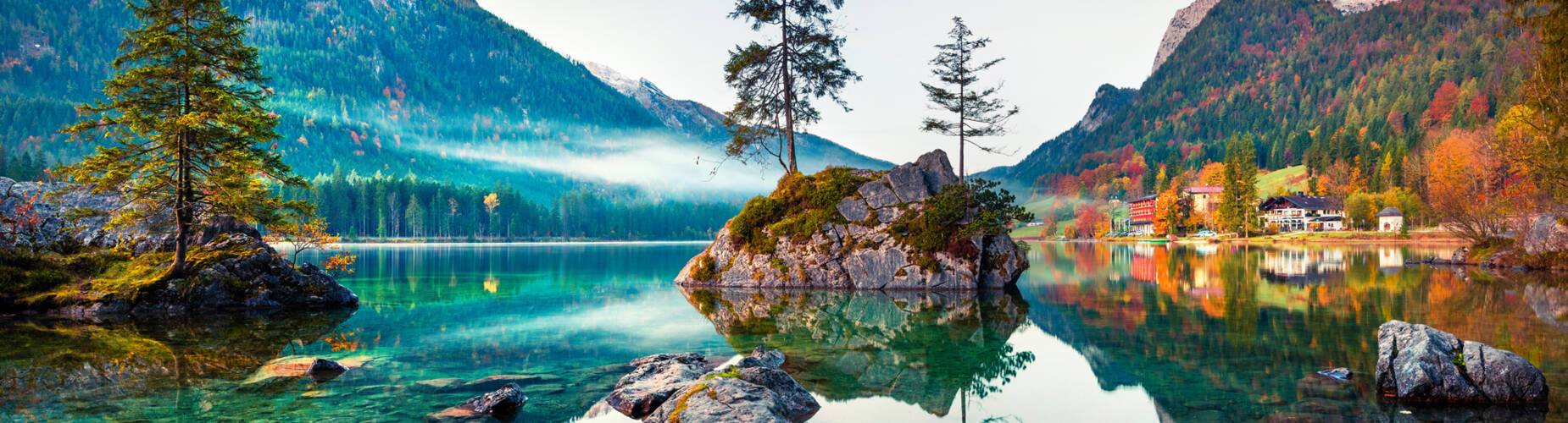 Bavarian Forest