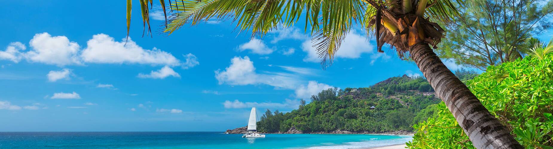 jamaica ROL Cruise