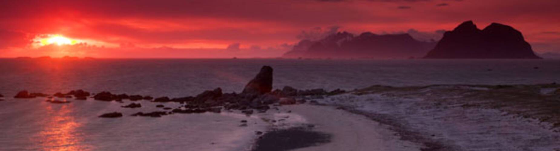 Midnight Sun