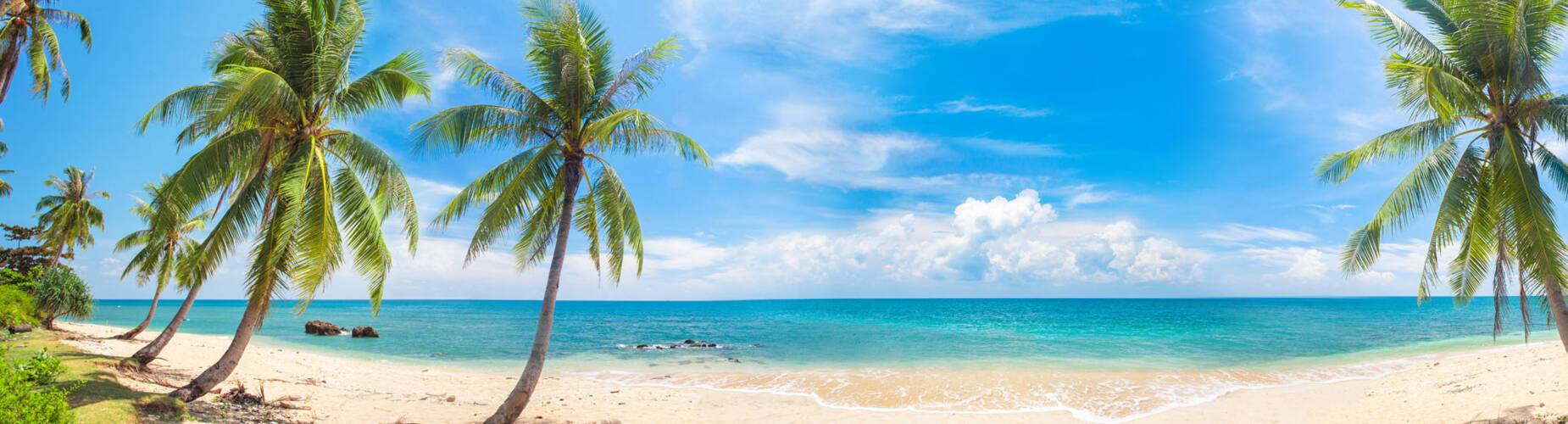 Caribbean