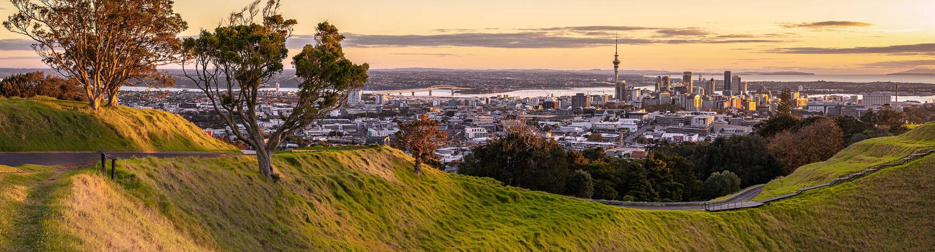 Auckland Cruises